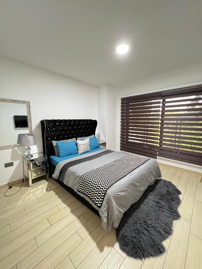 Luxury Penthouse Suite, Cantonments-Labone 阿克拉 外观 照片